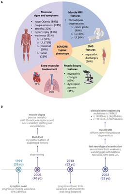 Case report: A novel patient presenting TRIM32-related limb-girdle muscular dystrophy